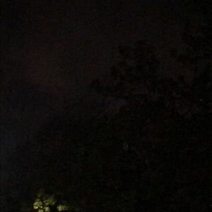 Meet your Posher, Vicky